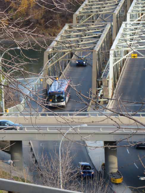 Edmonton New Flyer D40LFR